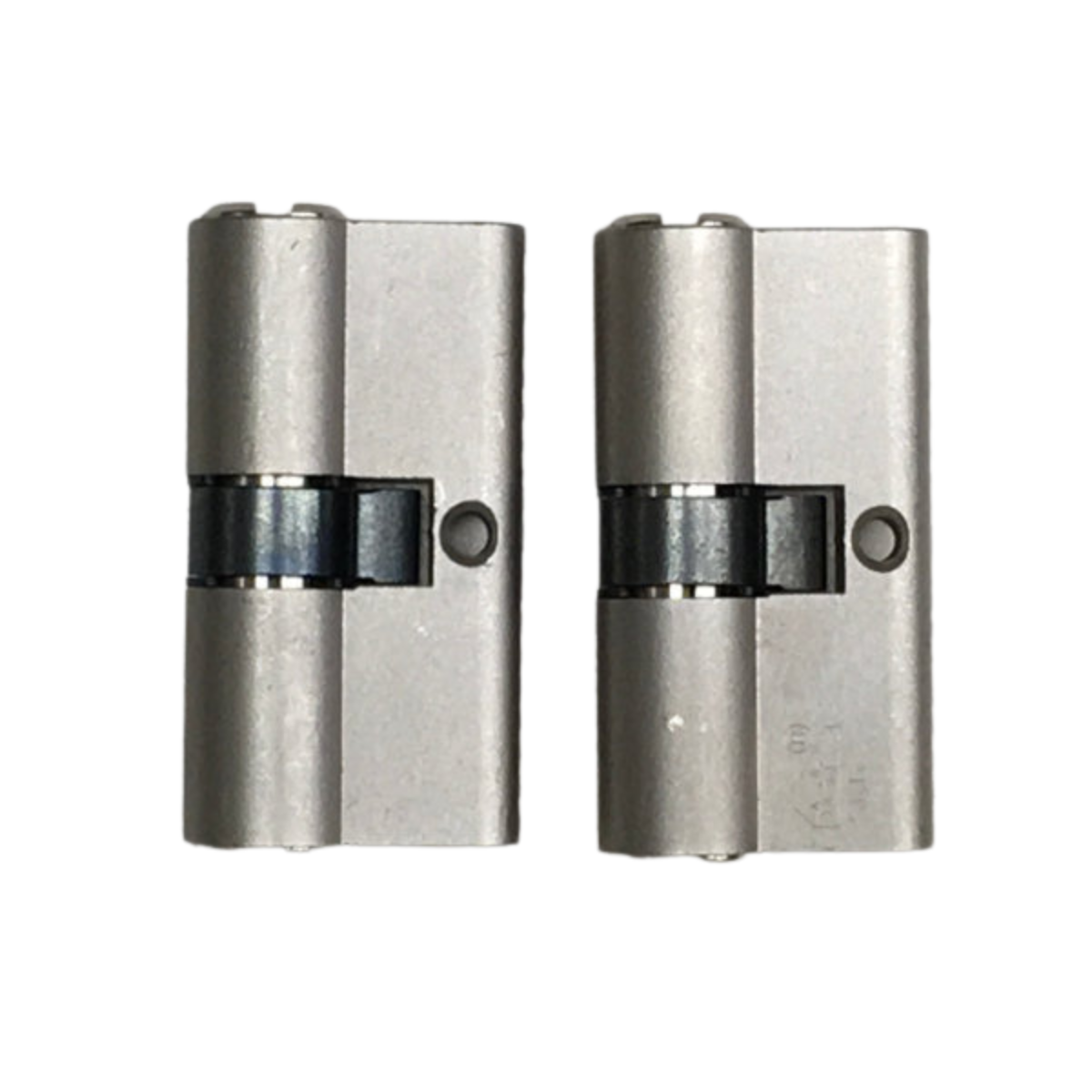 Keyed alike cylinder package Iseo R6 SKG**