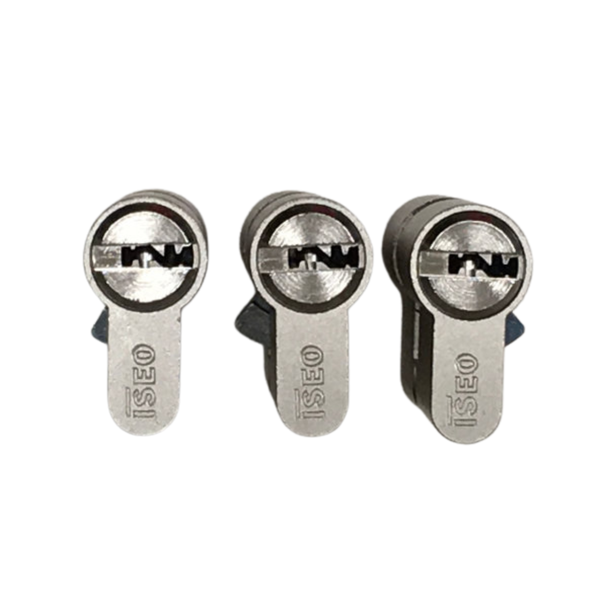 Keyed alike cylinder package Iseo R6 SKG**